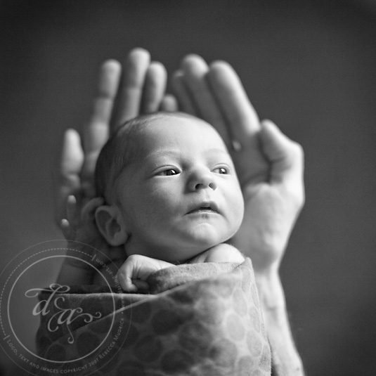 newbornphotographyNC newbornportraitNC