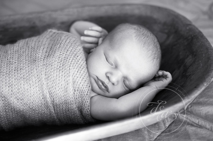 carrborobabyportrait1 carrborobabyportrait1