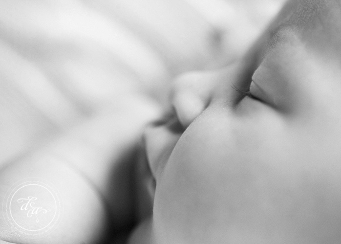 newborn photography durham newborn photography durham
